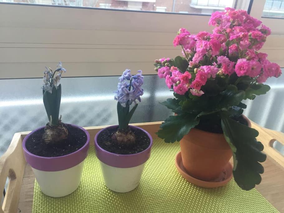 דירות מדריד Apartamento Ciudad Lineal Reciente Reforma מראה חיצוני תמונה